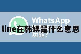 line在韩娱是什么意思